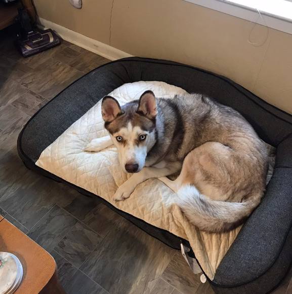 Meet your Posher, Rhonda garrett - Picture 1 of 1